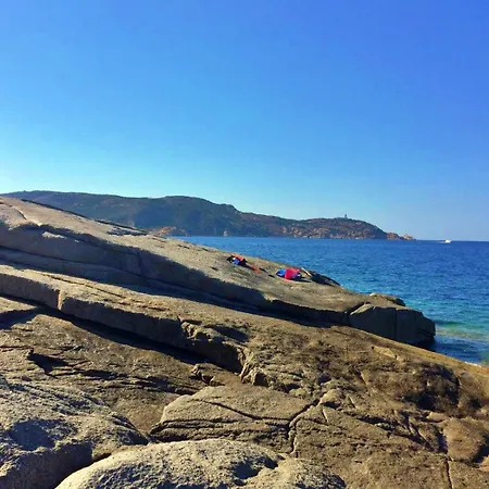 Appartement Les Pieds Dans L Eau Calvi (Corsica)