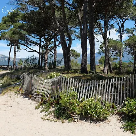 Les Pieds Dans L Eau * Calvi (Corsica)