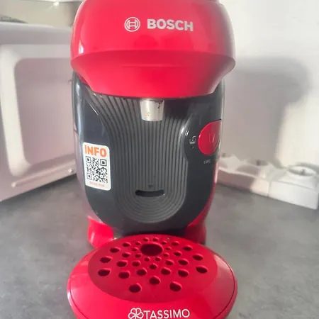 Les Pieds Dans L Eau Calvi (Corsica)