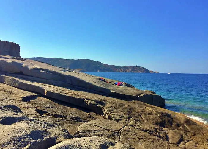 Apartment Les Pieds Dans L Eau Calvi (Corsica)