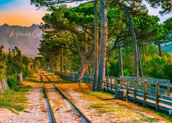 Les Pieds Dans L Eau Calvi (Corsica)
